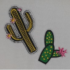 Applicatie cactus