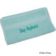 Gastendoek mint Gastendoek mint