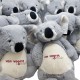 Knuffel buik koala Knuffel buik koala