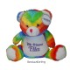 Zippie knuffel regenboog beer